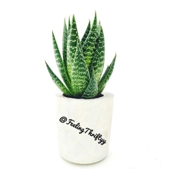 Meet The Posher, Lauren aka @FeelingThriftyy - Picture 1 of 5